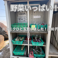 画像3850：【別府・北高架商店街】店舗造作譲渡｜飲食店など出店希望者募集｜希望価格100万円
