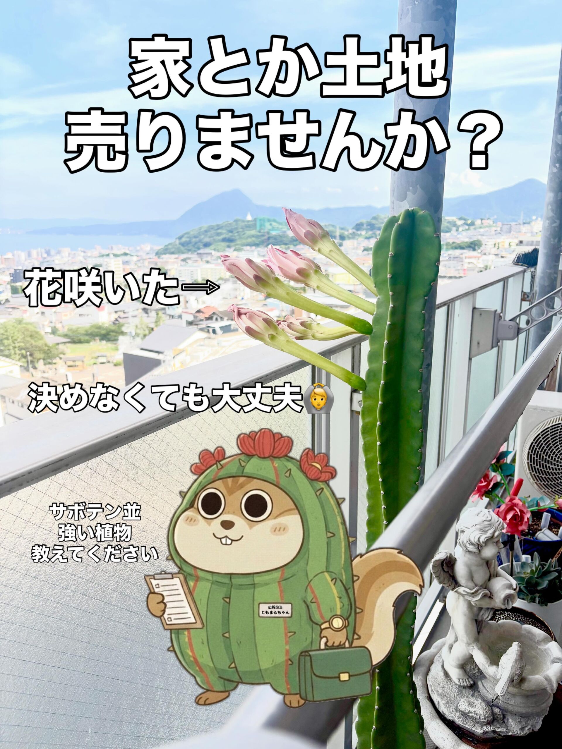 【ベランダのサボテンに花が咲きました】別府の空き地・空き家・相続相談は「ともまる不動産」へ