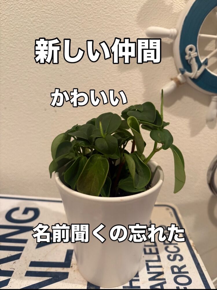 画像5642
