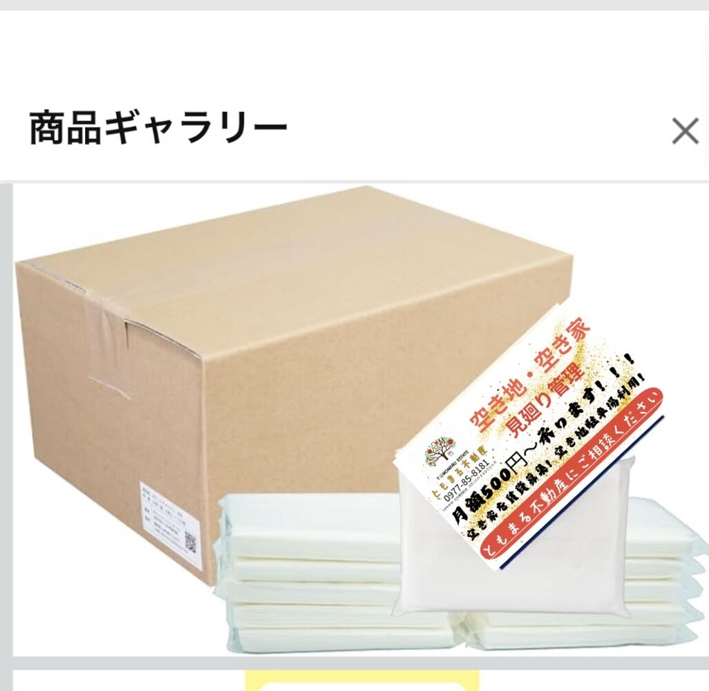 画像6240