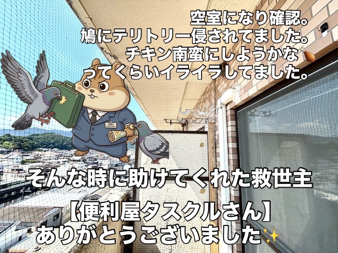 延岡市の不動産売却・空き家相談も対応します｜鳩被害を救ってくれた「便利屋タスクル」さんもご紹介！
