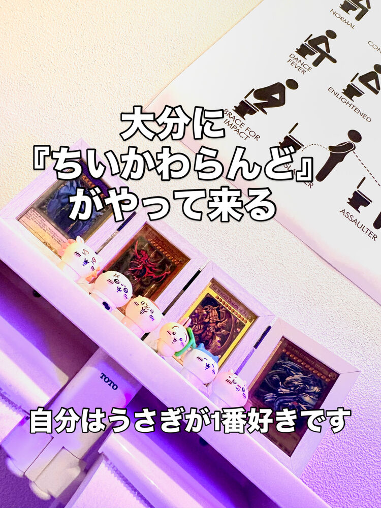 画像7798